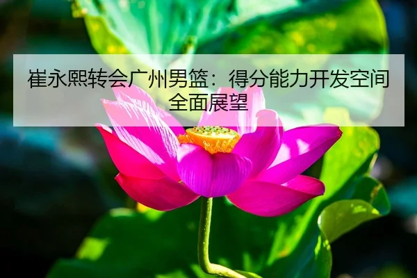 崔永熙转会广州男篮：得分能力开发空间全面展望